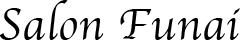 Salon Funai